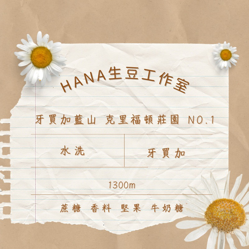 Hana生豆工作室｜牙買加藍山 克里福頓莊園 No.1 生豆