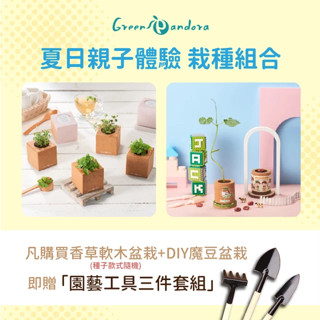 親子互動 DIY手作 環保軟木香草盆栽(種子隨機) + 環保軟木魔豆盆栽(魔豆款式隨機) + 園藝工具三件組(贈品)
