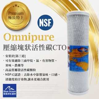 【BlueOcean歐森】omnipure壓縮塊狀活性碳CTO濾心/濾芯/NSF