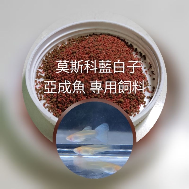 悠美水族**莫斯科藍白子 孔雀魚專用飼料