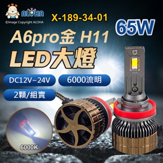 阿囉哈LED總匯_X-189-34-01_H11-DC12V~24V-65W（6000流明）×2顆-6000K-LED大
