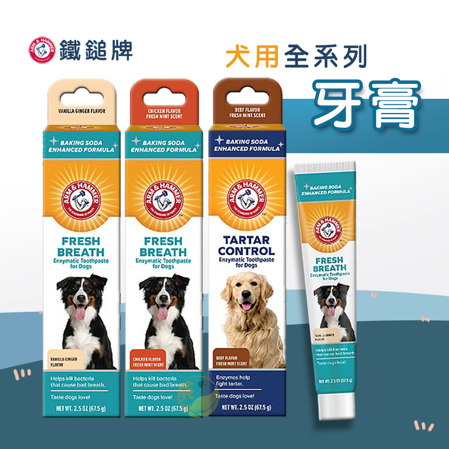 【茶太郎】鐵鎚牌 ARM&amp;HAMMER🐶犬用酵素牙膏/單入 寵物用品 寵物牙膏 狗狗牙膏 犬用牙膏 牙膏 易齒趣