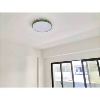 24H出貨 LED 50W 莫蘭迪綠吸頂燈(三色切換色溫-白光-自然光-黃光)現代簡約極簡線條造型