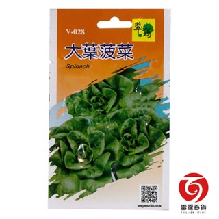 大葉菠菜 / 菠菜 / 蔬菜種子 / 種子 / 雷霆百貨 / V028
