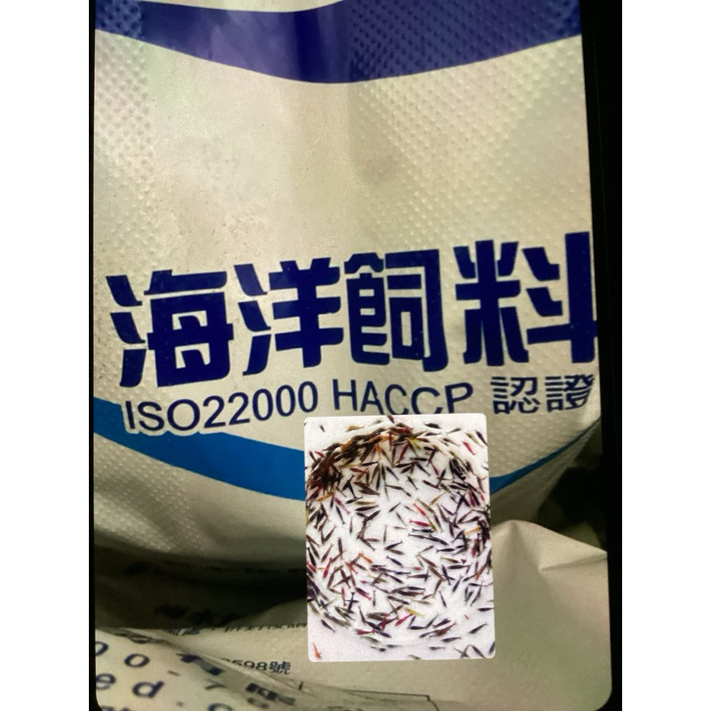 黑殼蝦150送50高級飼料