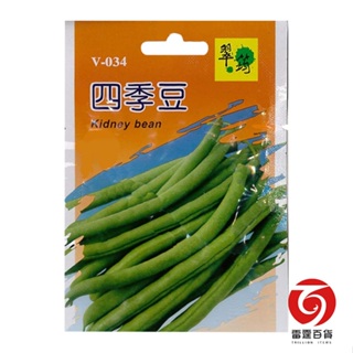 V034四季豆/蔬菜種子/菜仔/雷霆百貨