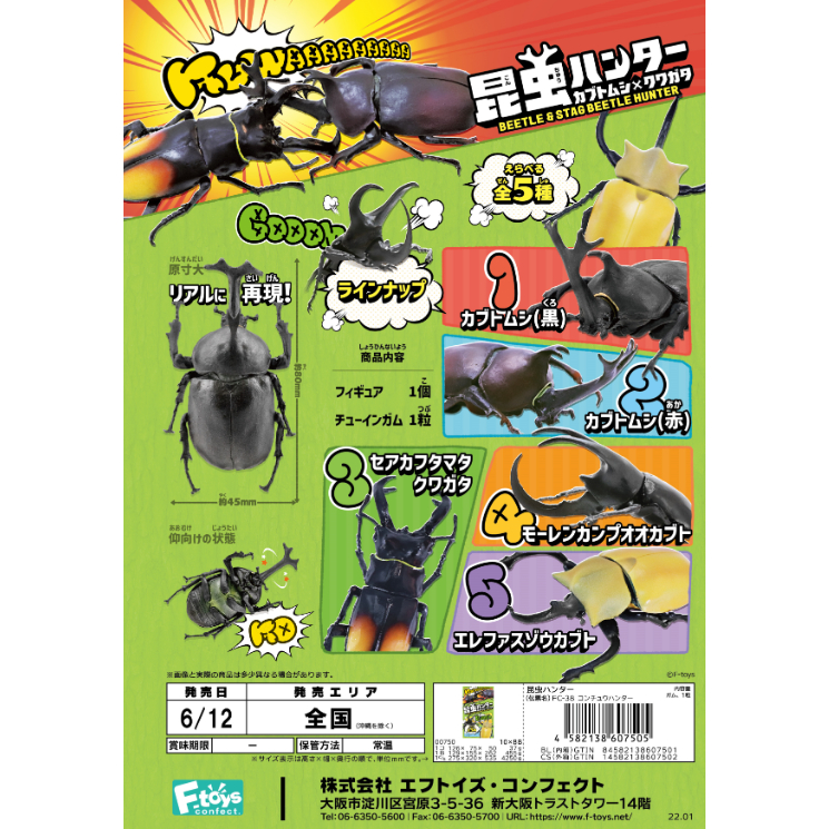 【LUNI 玩具雜貨】F-toys 昆蟲獵人 模型 盒玩 整套5款 鍬形蟲 昆蟲