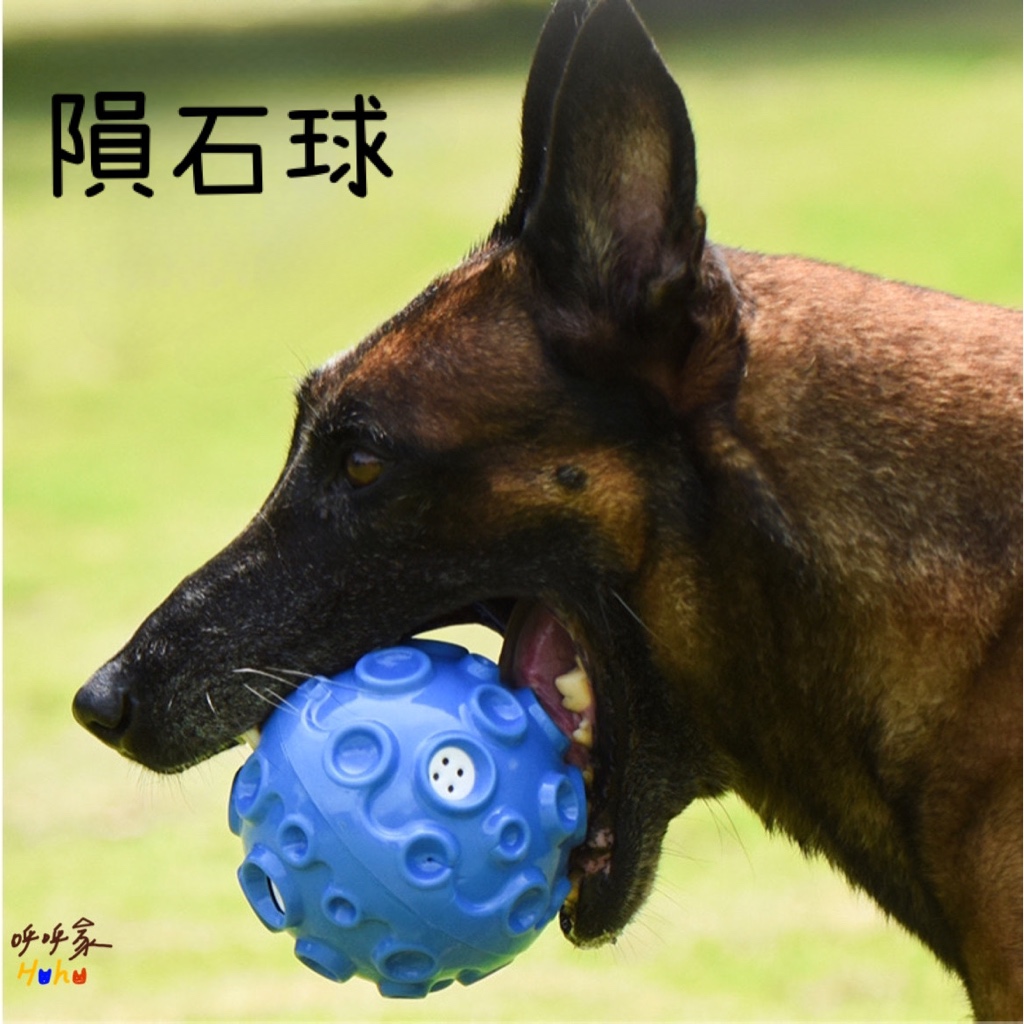 寵物TPR隕石球 發聲隕石球 狗狗看得見 玩具