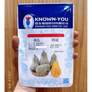城禾農產🍃 農友阿成南瓜種子 16粒 阿成南瓜種子 阿成金瓜種子 農友阿成種子 阿成種子 阿成金瓜種子 農友南瓜種子