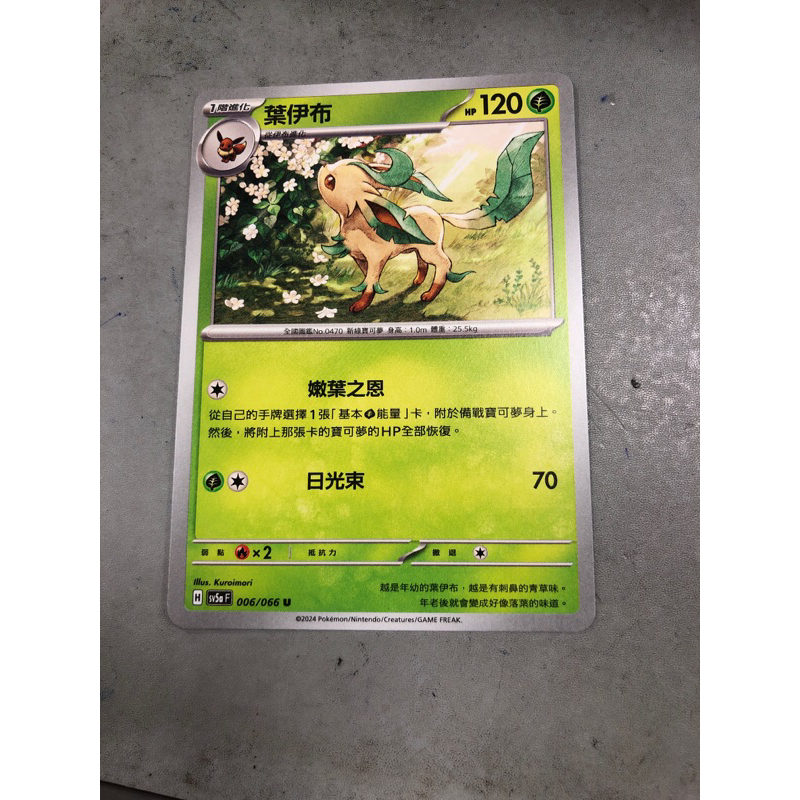 （小熊玩具）寶可夢 中文版 sv5a 006/066 U 葉伊布 普卡