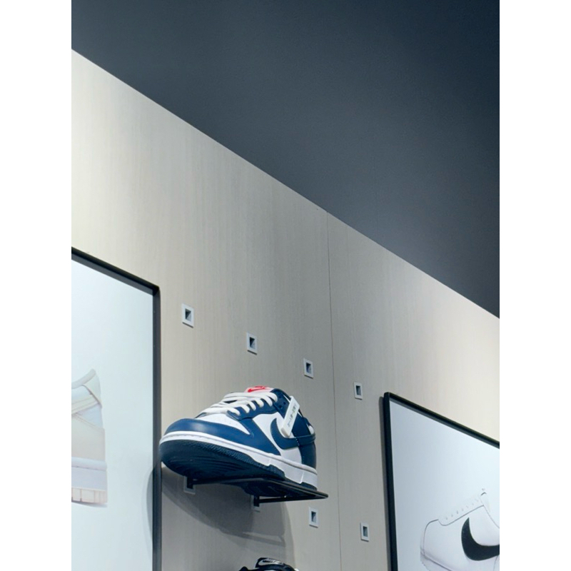 Nike Dunk Low "Valerian Blue" 白藏青 藏青 深藍 休閒鞋  日本帶回 全新