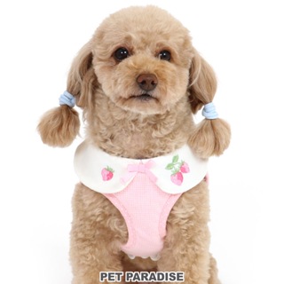 【PET PARADISE】草莓粉色寵物外出胸背 (3S/SS/SM)｜PP 2023新款 寵物精品 中型犬