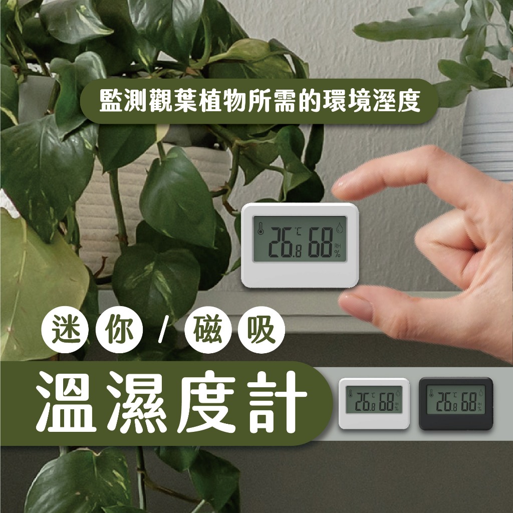 濕溫度計 溫度計 濕度計 濕溫度計經典白 環境溼度計 植物溫室濕度計 磁吸濕度計 迷你濕度計 電子濕度計 數字濕度計