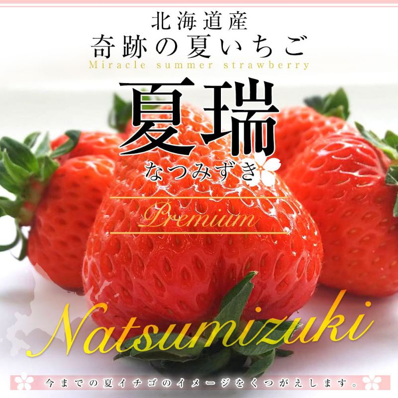 «草莓苗🍓» 夏瑞 なつみずき 北海道夏季品種 日系草莓苗新品