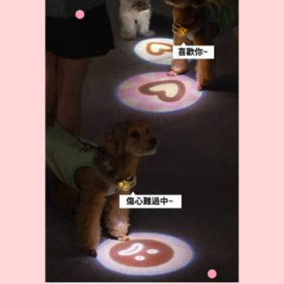 台灣現貨USB寵物發光項圈 寵物LED項圈 寵物發光項圈 LED項圈/發亮項圈/狗狗項圈遛狗小夜燈 寵物發光項圈夜間螢光