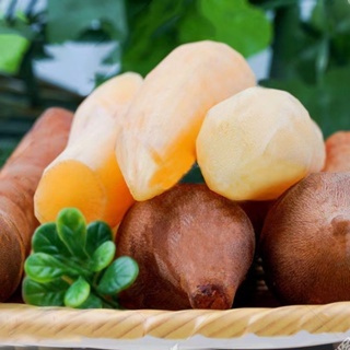 日本進口 優質天山雪蓮以及果種子 美容養顏 發芽力高　高產量 高質量