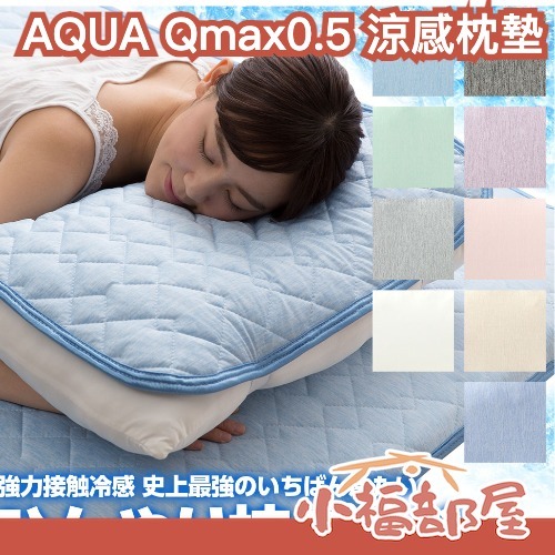 日本 AQUA Qmax0.5 涼感枕頭墊 枕頭套 冷感 保潔墊 枕套 速乾 可水洗 枕頭墊 冰涼墊 夏天 消暑 涼爽