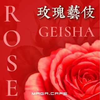《曼珈咖啡》玫瑰藝妓 二氧化碳浸漬法 淺烘焙 新鮮烘焙 咖啡豆（半磅）私房豆