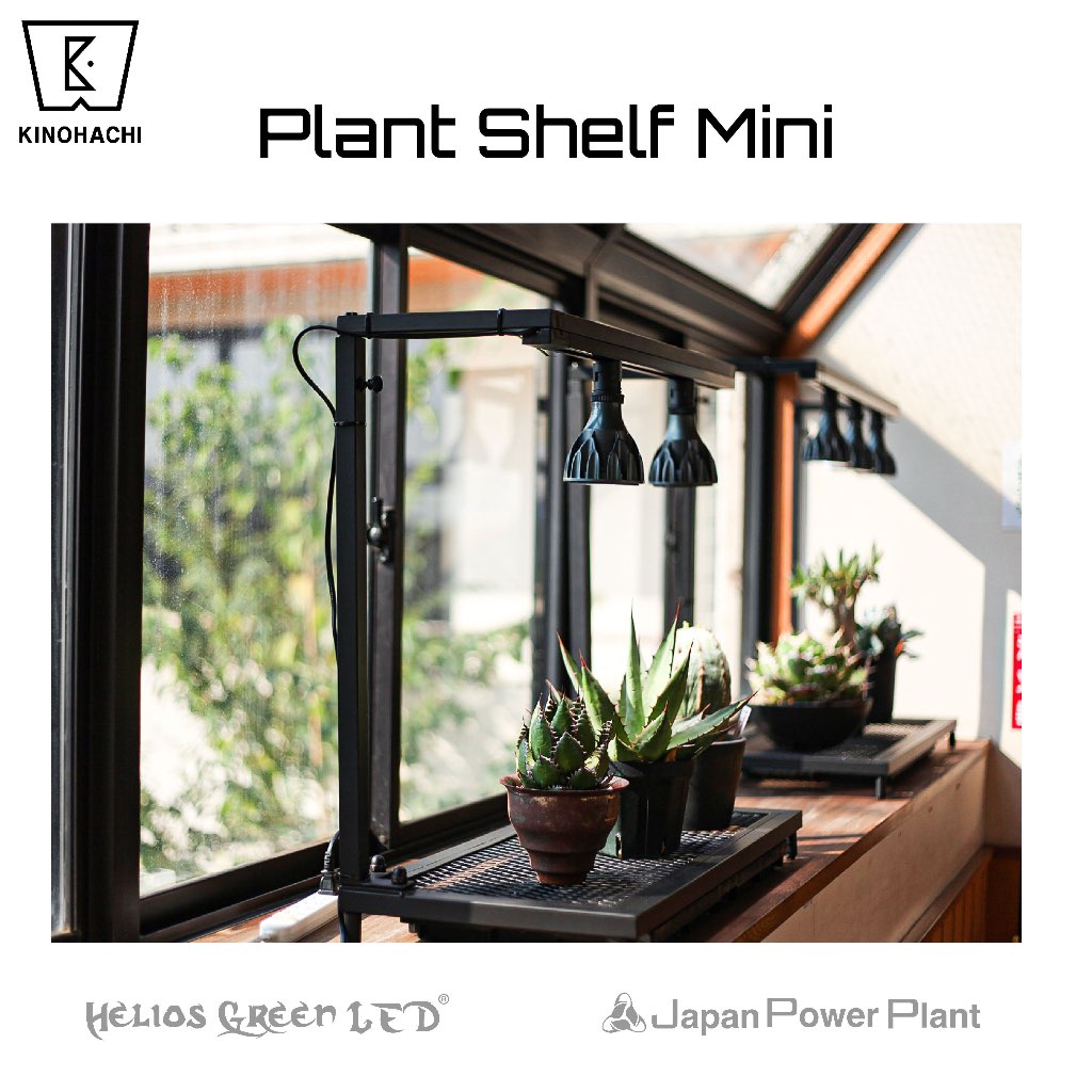 🇯🇵 Plant Shelf Mini (L) Helios Green LED JPP KINOHACHI