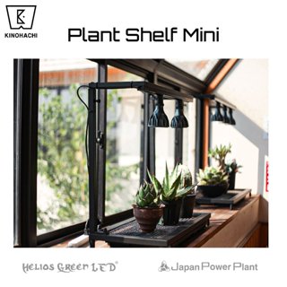 🇯🇵 Plant Shelf Mini (L) Helios Green LED JPP KINOHACHI