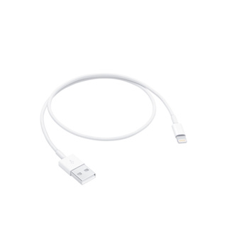 APPLE Lightning 對 USB 連接線 (0.5 公尺)