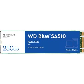 (二手) WD Blue 藍標 SA510 250GB M.2 2280 SATA SSD 固態硬碟