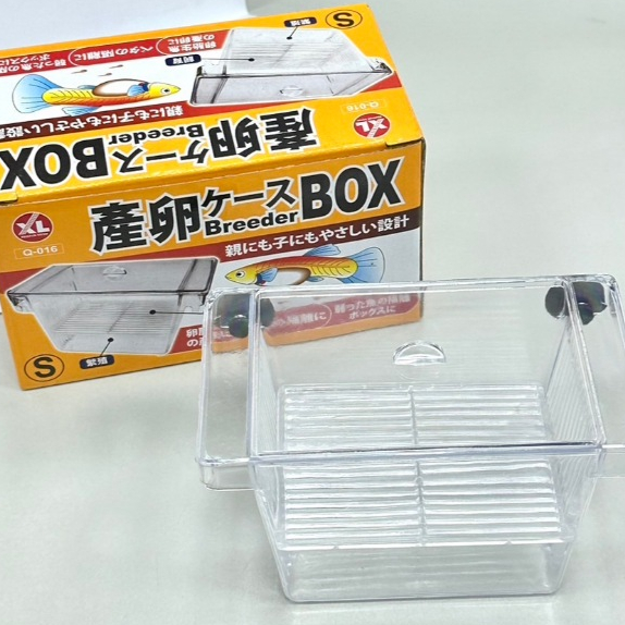 【慢慢游】日本XL孔雀產卵盒- S 飼育盒 隔離盒 繁殖箱 產卵盒 飼育盒 Q-16 新型附上蓋、吸盤
