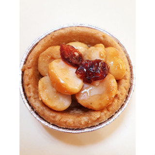 【小不點的甜點世界】夏威夷豆堅果塔 *蜂蜜蔓越莓風味｜ 6入/一袋 (單個密封包裝) 無新增防腐劑 臺灣製造