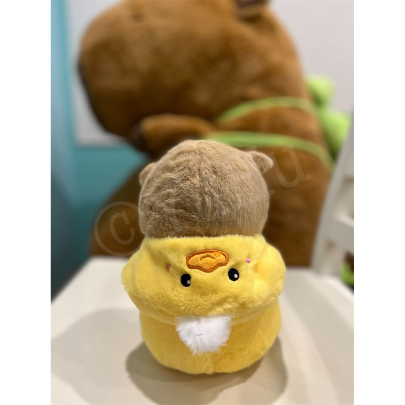現貨 水豚君卡皮巴拉造型款 穿衣服小雞🐥熊熊🐻 下單即送小禮物🎁