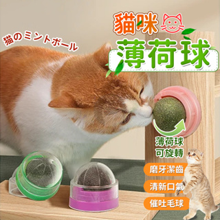 自動餵食器 寵物玩具 自動貓砂機 寵物用品 貓咪用品 貓玩具 貓薄荷球 薄荷球 旋轉薄荷球 QJ1495