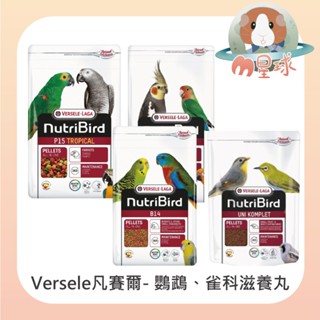M星球 滋養丸【凡賽爾】鸚鵡 雀科 機能滋養丸 P15 B14 G14 鸚鵡主食 鸚鵡飼料 雀科鳥類 鳥飼料