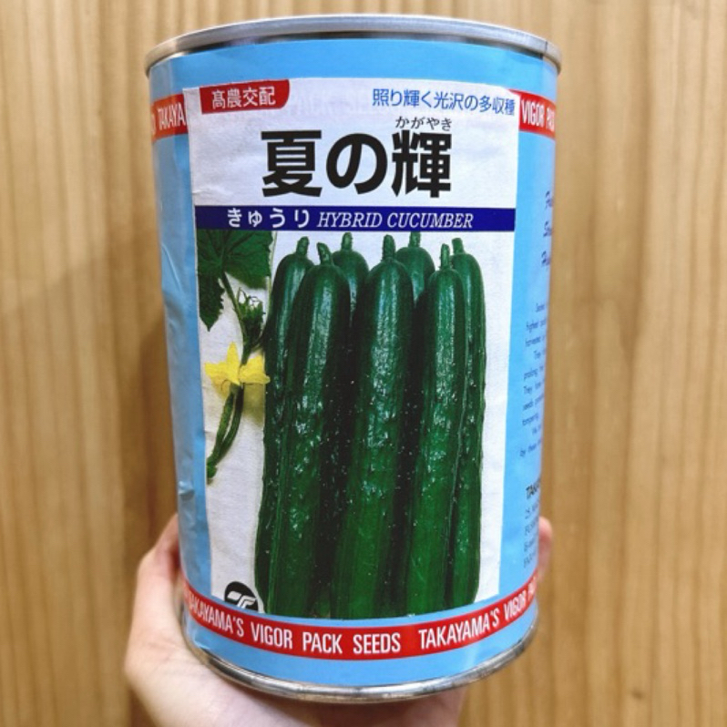 城禾農產🍃 日本夏之輝小黃瓜種子 2.4克 約90粒 小黃瓜種子 夏之輝小黃瓜種子 小黃瓜種子 日本小黃瓜種子 刺瓜種子