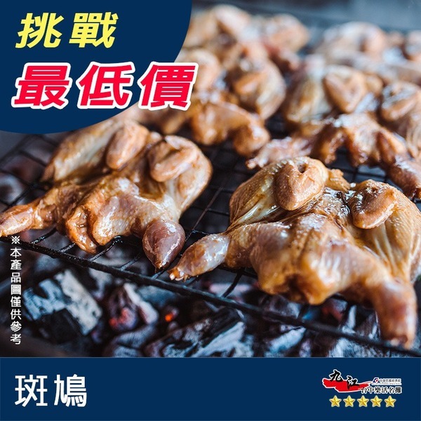 【九江食品】斑鳩／180g／1500免運／台灣／班甲／竹雞／鳥肉／燒烤／烤肉／野味／肉品宅配