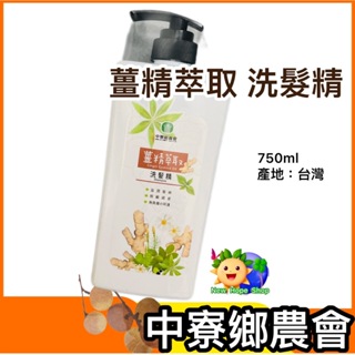 中寮鄉農會【薑精萃取洗髮精】750ml 薑精油 南投中寮 草本洗髮精 植物萃取 洗髮精 台灣製造