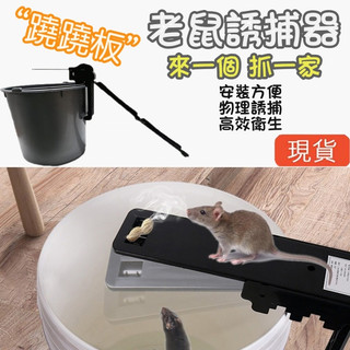 🔥拒絕老鼠🔥桃園出貨🔥蹺蹺板捕鼠器 抓老鼠神器 物理捕鼠 驅鼠器 滅鼠器 補鼠神器 陷阱老鼠籠 連續捕鼠 抓老鼠