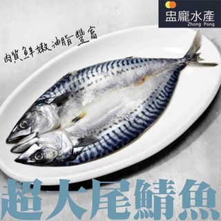 【盅龐水產】鯖魚剖半16P - 重量380g±10g/尾