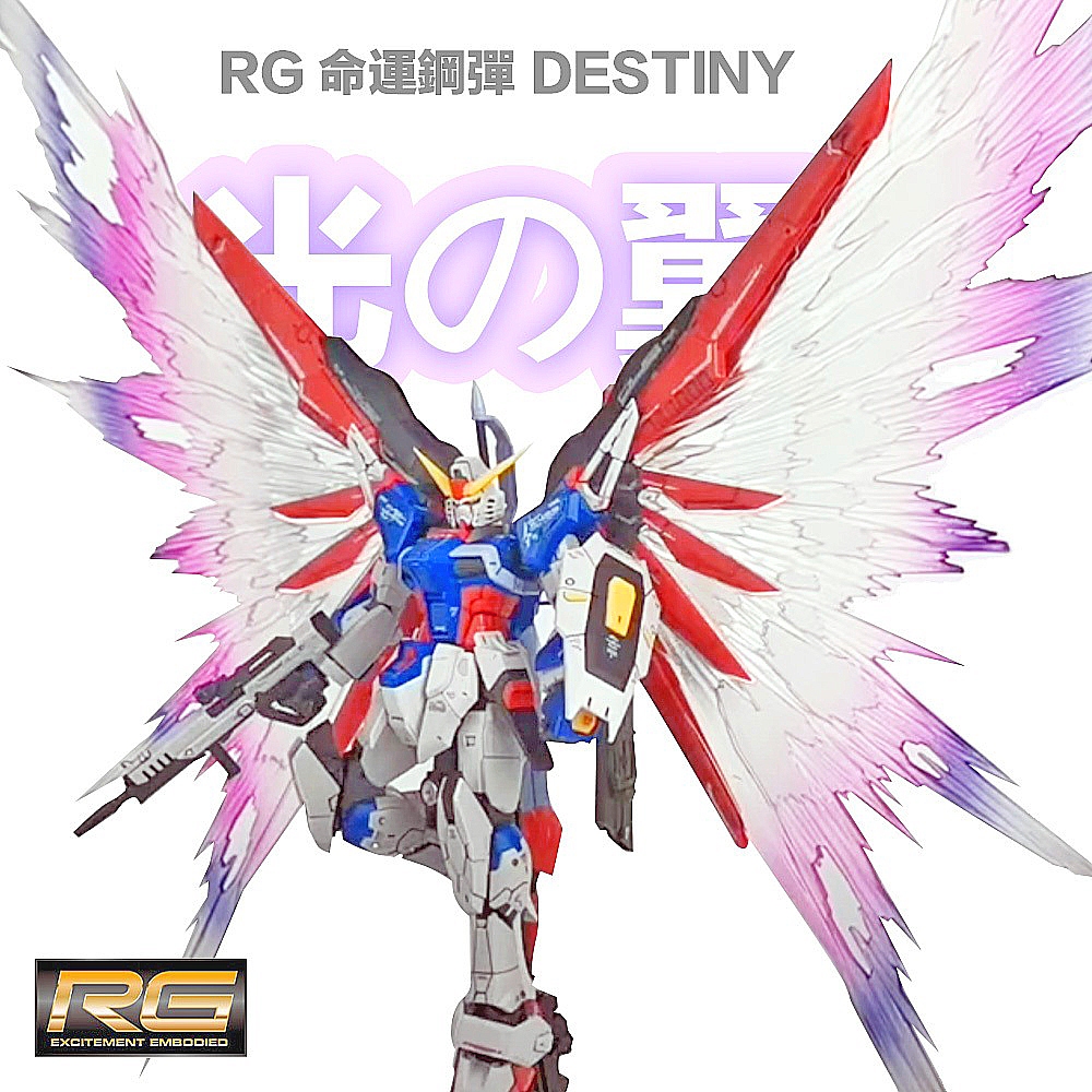 【鋼普拉】現貨 附支架 模星社 RG 1/144 #11 DESTINY 命運鋼彈 專用光翼 光翼特效件 光之翼