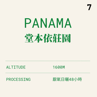 〔柒方生豆〕巴拿馬 堂本依莊園 史坦費小農 厭氧日曬 咖啡生豆500克