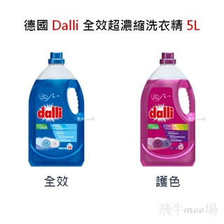 💥德國 Dalli💥 全效超濃縮洗衣精 -5L