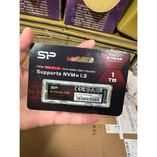 SP廣穎 P34A80 1TB NVMe Gen3x4 PCIe SSD 固態硬碟 要錢不要貨 亂賣一通