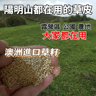 臺灣現貨 類地毯草 【草種子】 地毯草 愛芬地毯草 類地毯草 草皮種子 1公斤裝 粉衣種子 附種植說明