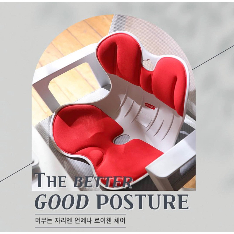 Roichen | 韓國減壓舒適 護脊 正脊坐墊/靠墊 椅墊 辦公室必備