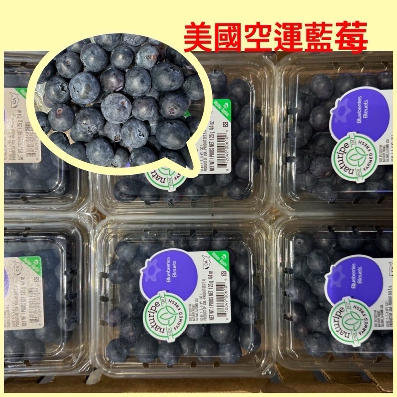 【美國華盛頓藍莓vs日本藍莓】3C族 小孩 眼力的最佳 保健水果 推薦多吃