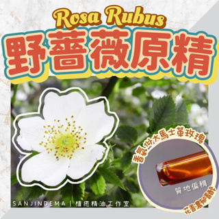 野薔薇原精 Rosa Rubus 香氣似大馬士革玫瑰精油 雖濃郁但不張揚 平替玫瑰