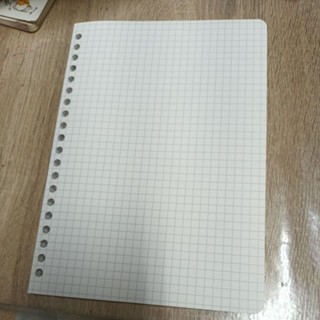 20孔格子筆記本補充紙共60張