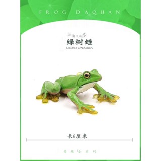<蟹蟹你的愛2館> 中國樹蟾，擺設模型，擬真中國樹蟾擺飾，可愛，勿直接下標，聰明的就懂，需看扭蛋詳細圖請私訊