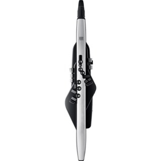【名人樂器明誠店】ROLAND Aerophone PRO AE30 數位吹管 （附袋）