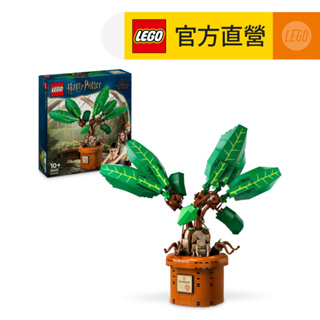 【LEGO樂高】哈利波特 76433 魔蘋果(Mandrake 植物模型)