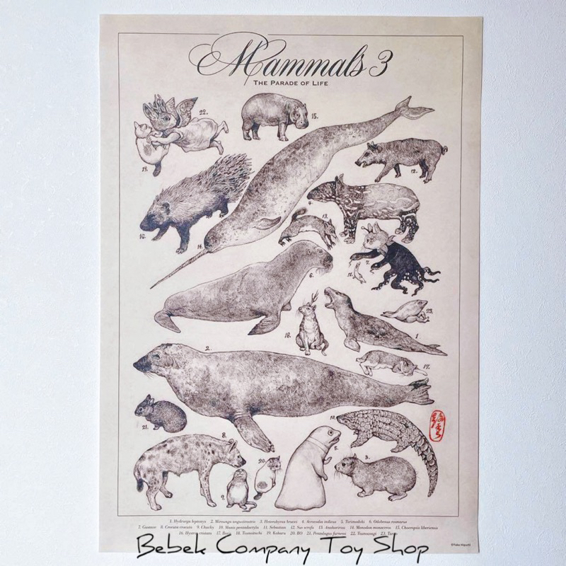 現貨在台🇯🇵 B2 海報 日本 Higuchi yuko 樋口裕子 大哺乳類展3 鯨魚 章魚貓 貓咪 展覽