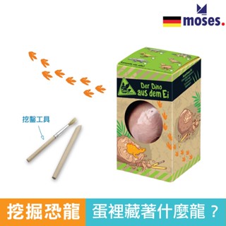 德國 Moses 恐龍蛋化石(隨機出貨) 科學玩具 考古玩具 官方旗艦